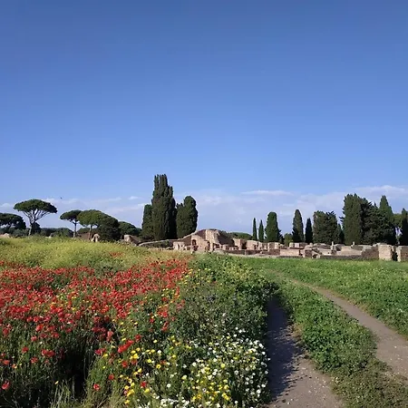 Le Cicale