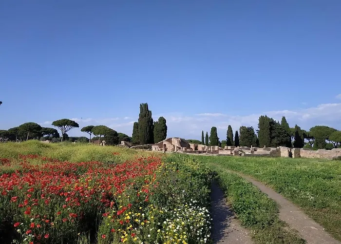 Le Cicale